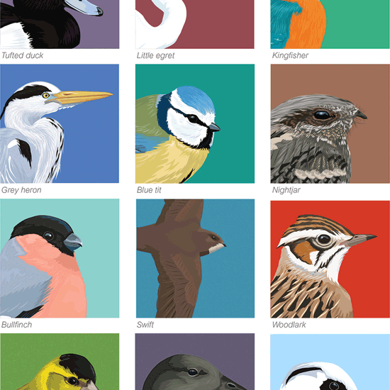 Detail of Bird birds print