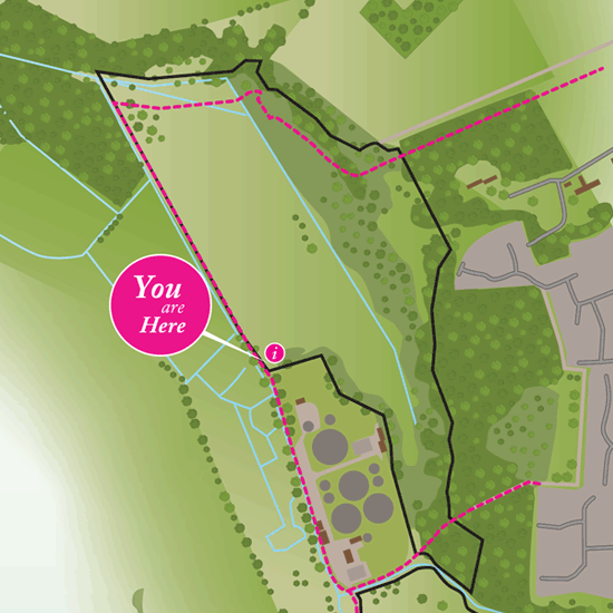 Detail of Catchment map