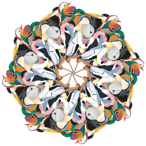 British Bird Circle