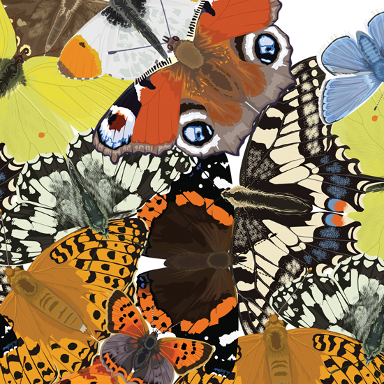 Detail of British Butterfly Mandala