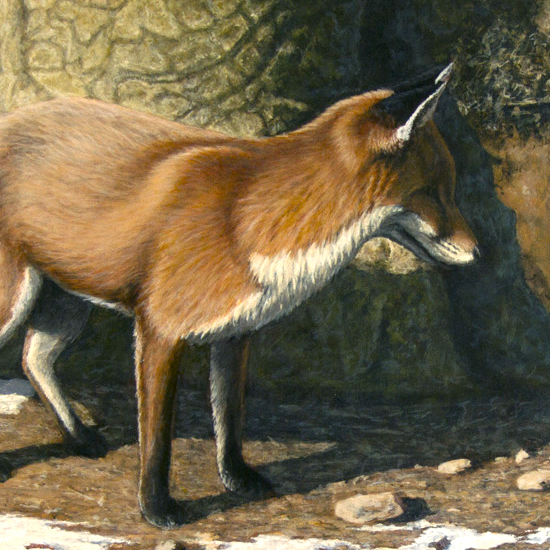 Winter Sun - Fox and Wood Mouse