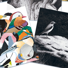 Greeting Cards