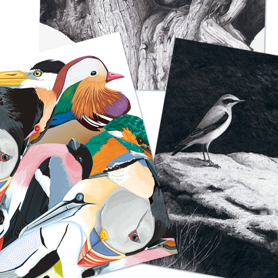 Detail of Greeting Cards