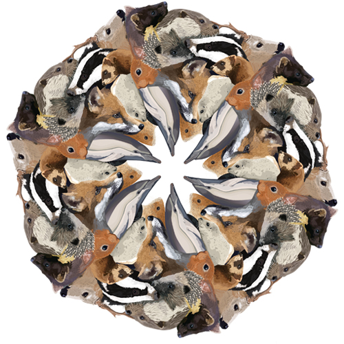 British Mammal Mandala