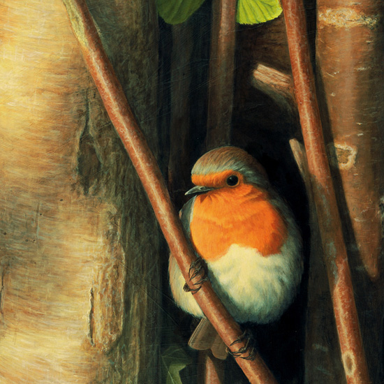 Detail of Robin