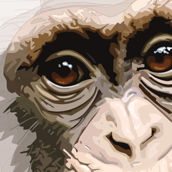 Detail of Chimp