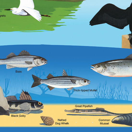 Detail of Interpretation Panels
