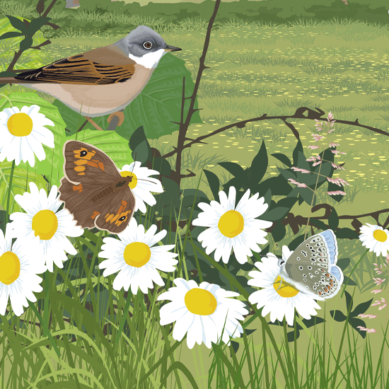 Detail of farmland illustration