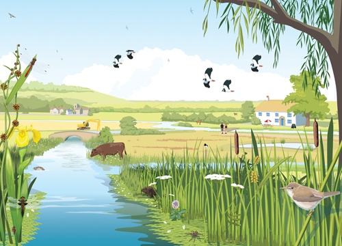Grassland