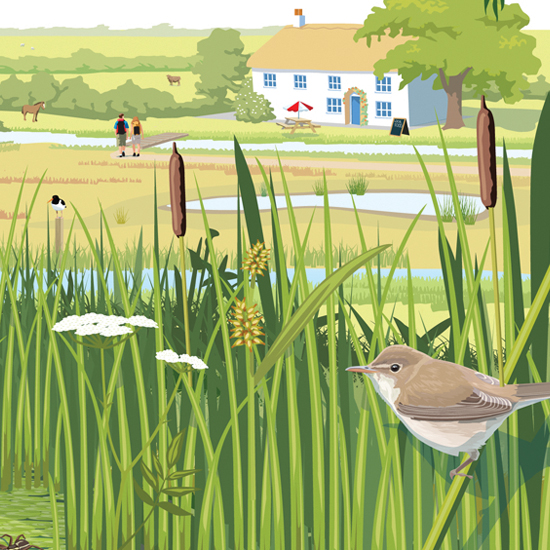 Detail of Wetland