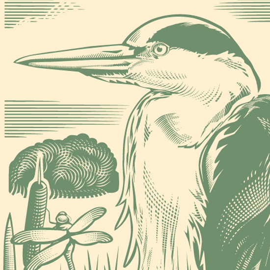 Detail of Woodcut style Heron