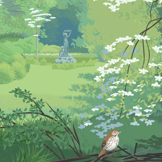 Detail of museum illustration