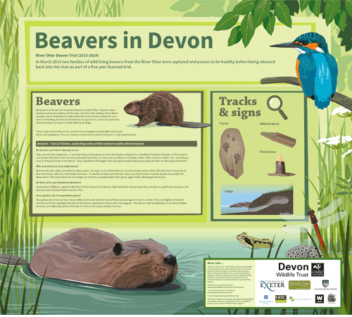 Beaver interpretation panel