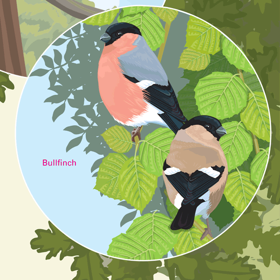 Detail of Foxley interpretation