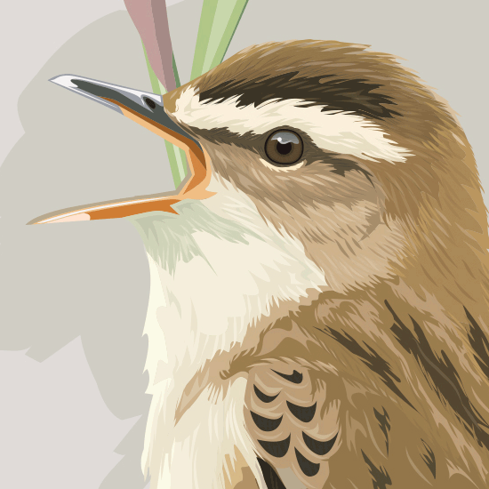 Detail of identification page