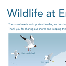 wildlife interpretation board