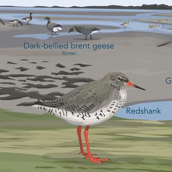 Detail of Interpretation panel