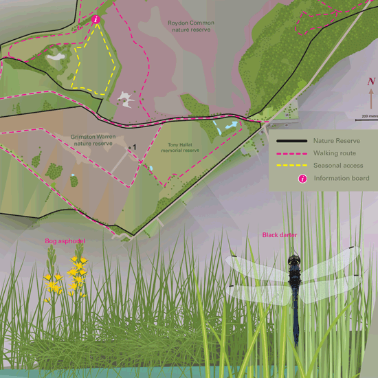 Detail of Interpretation panels