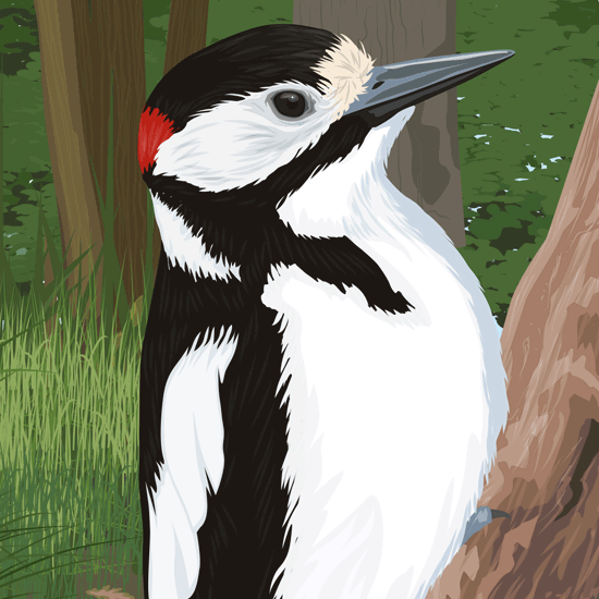 Detail of cicular interpretation