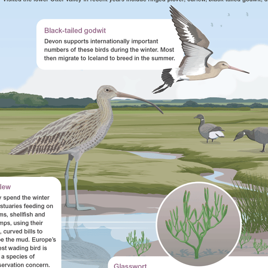 wildlife interpretation board