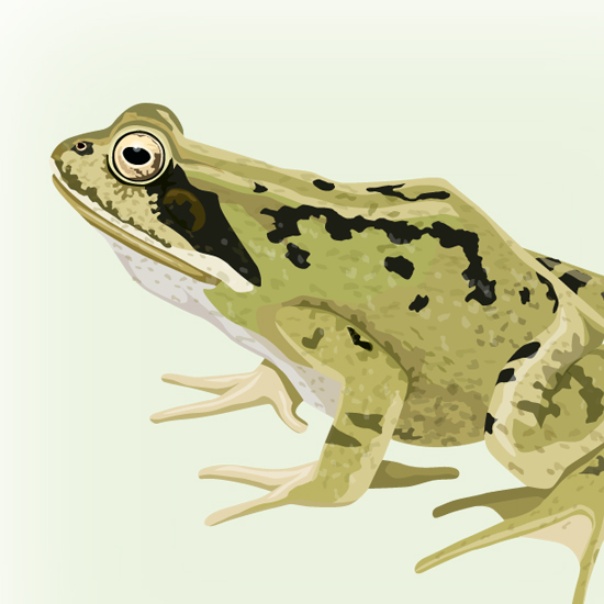 Detail of Life Cycle interpretation