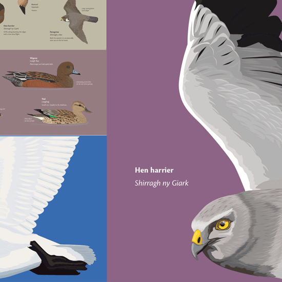 wildlife interpretation board