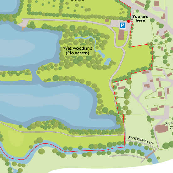 Detail of Holyford Woods map