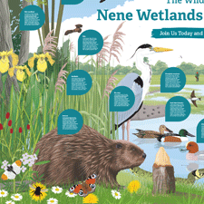 wildlife interpretation board