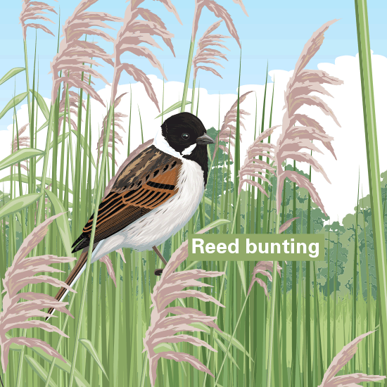 Detail of Seasonal Panel