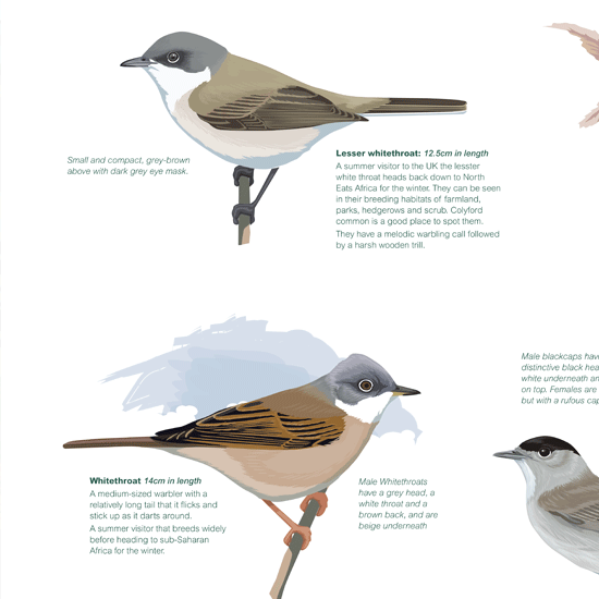 Detail of interpretation