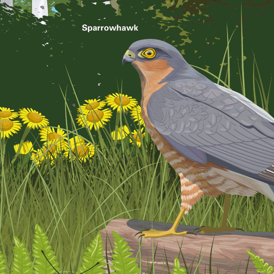 Detail of Seasonal id panels