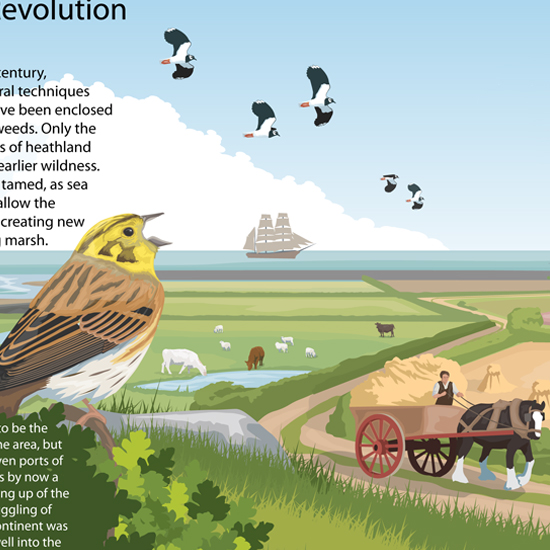 Detail of Norfolk through the Ages